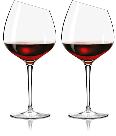 Viinilasi Bourgogne 2 kpl