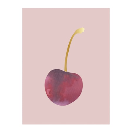 Juliste Pallot Rosa paperia 40x30cm