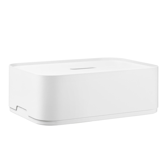 Vakka storage box small white-painted veneer
