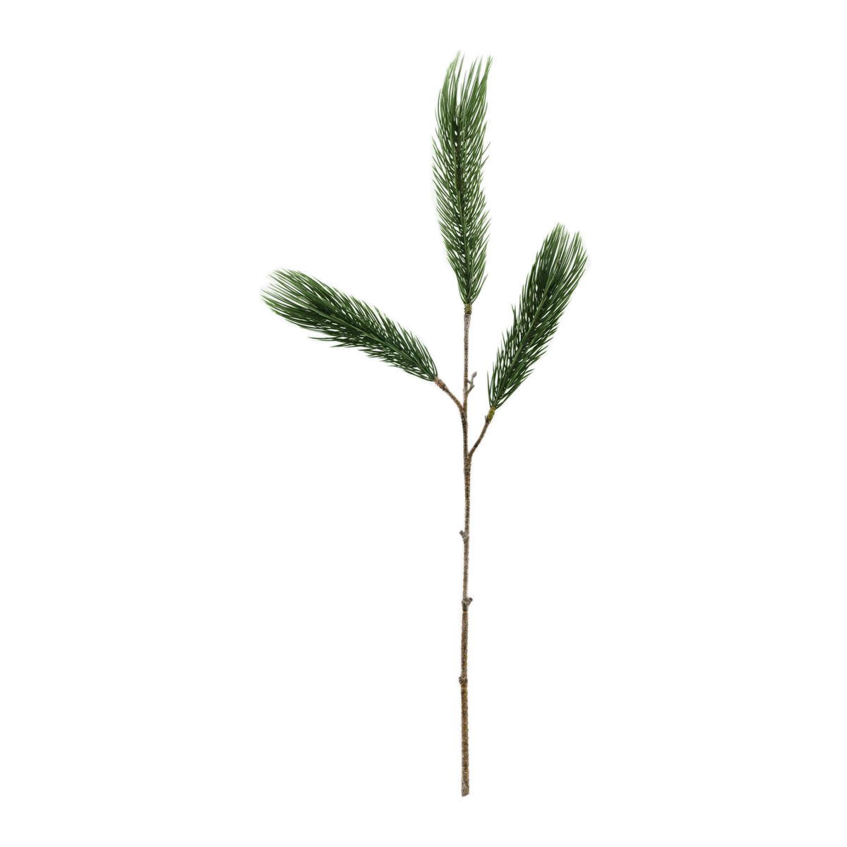 House Doctor - Branch Pine Tree - Green (261390008/261390008)