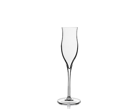Vinoteque Grappalasi 10.5 cl Kirkas