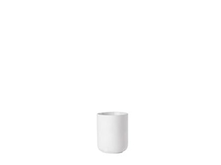 Hammasharjamuki Ume White