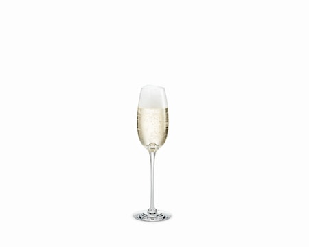 Fontaine Samppanjalasi, 21 cl