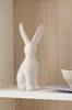 Koriste Eibus Rabbit High