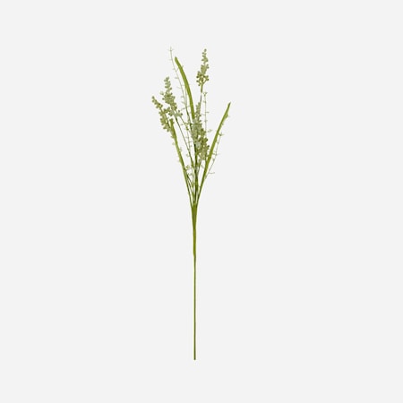 Gypsophila Valkoinen