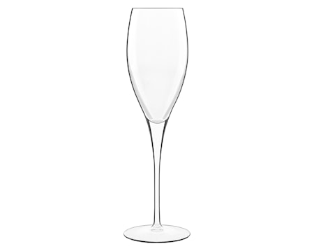 Michelangelo Gold samppanja/Proseccolasi 4 kpl.