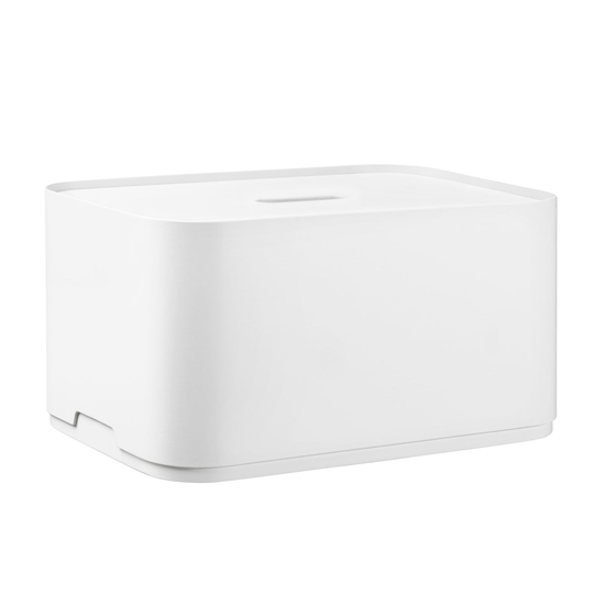 Vakka storage box large white-painted veneer