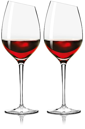 Viinilasi Syrah 2 kpl